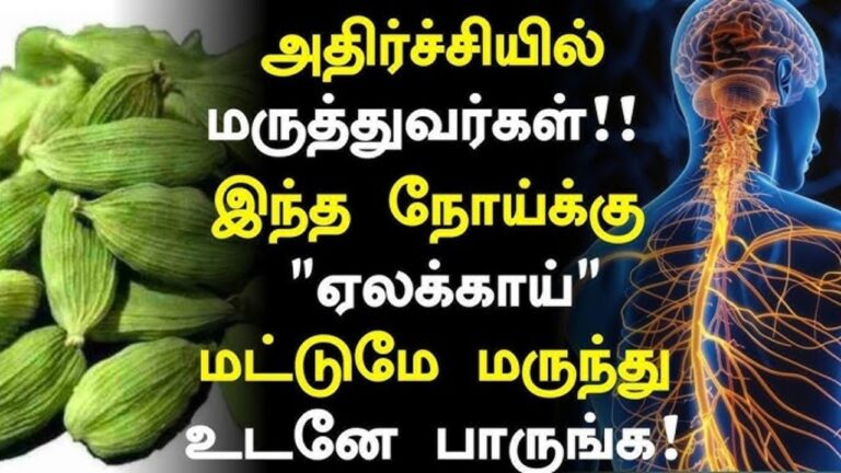 BPக்கு அருமருந்து.. இரவில் ஒரு ஏலக்காய் சாப்பிடுங்கள்!! மன ஆரோக்கியத்தை காக்கும் மணமான ஏலம்!!