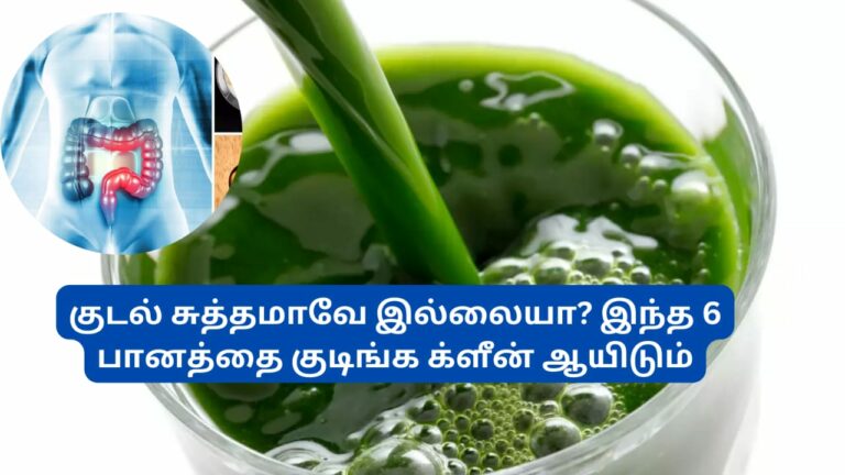 குடல் கழிவுகளை வெளியே தள்ளும் 3 இலைகள் கொண்ட பானம்!! உடனே ட்ரை பாண்ணுங்க!!