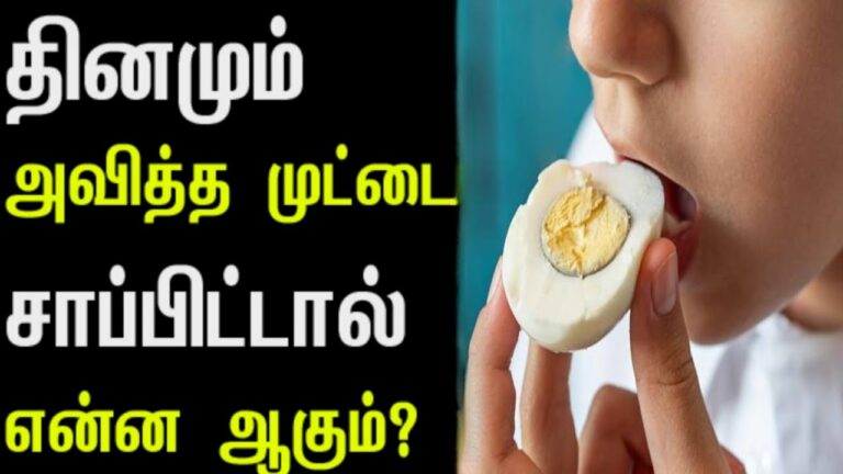 தினமும் முட்டை உணவுகள் சாப்பிடலாமா? சாப்பிட்டால் என்னாகும் தெரியுமா?