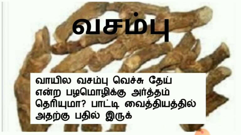 “உன் வாயில் வசம்பு வச்சி தேய்க்க”… என்ற சொல் கேள்விப்பட்டிருக்கீங்களா? இதற்கு பின்னால் இப்படி ஒரு காரணம் இருக்கா!!