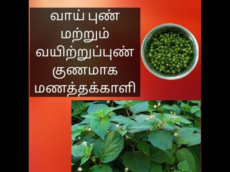 இந்த கீரையை ஒரு கையளவு வெறும் வயிற்றில் சப்பிட்டால்.. வாய்ப்புண் குடல்புண் அப்படியே குணமாகிவிடும்!!