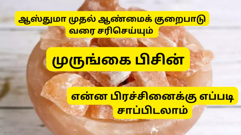 ஆண்மை அதிகரிக்கும் முருங்கை பிசின்!! இதை இப்படி சாப்பிடுவதால் விந்து தரம் மேம்படும்!!