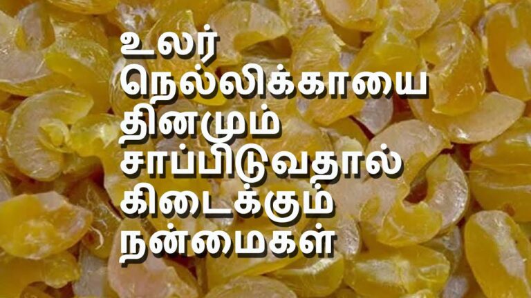 தினமும் இரண்டு உலர்ந்த நெல்லி சாப்பிடுங்கள்!! பைசா செலவு இன்றி நோய்களை விரட்டுங்கள்!!