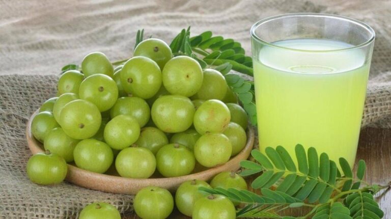 தினமும் ஒரு கிளாஸ் நெல்லிக்காய் ஜூஸ் குடித்தால்.. நீங்கள் இத்தனை பலன்களை அடையலாம்!!