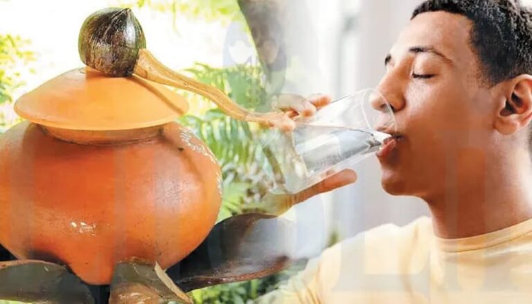 வெயில் காலத்தில் பிரிட்ஜ் தண்ணீர் வேண்டாம்.. உடலை ஜில்லுனு வைக்க இந்த நீரை குடிங்க!!