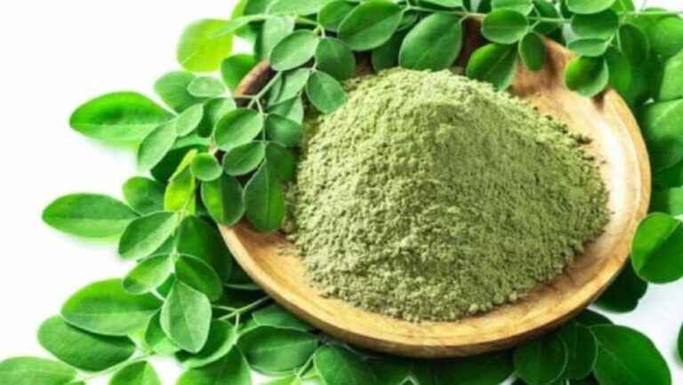 முன்னூறு நோய்களுக்கு மருந்து முருங்கை இலை!! இப்படி சாப்பிட்டால் 100% பலன் கிடைக்கும்!!