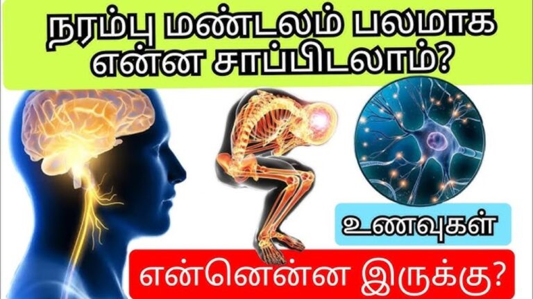 நரம்பு பலம் அதிகரிக்கணுமா? அப்போ இந்த உணவுகளை அவசியம் சாப்பிடுங்கள்!!