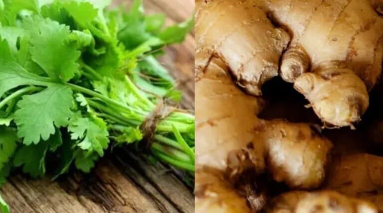 இந்த இலையில் சட்னி செய்து சாப்பிட்டால்.. படுக்கையில் நீண்ட நேரம் என்ஜாய் பண்ணலாம்!!