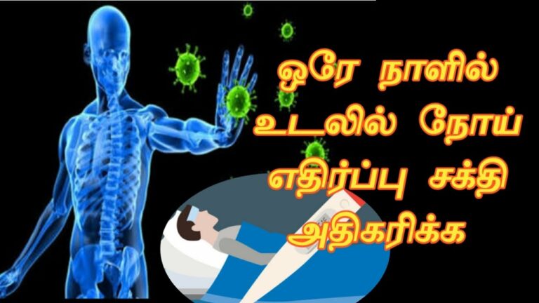 சோர்ந்து போன உடலை சுறுசுறுப்பாக்க.. முருங்கையை இப்படி சாப்பிடுங்கள்!!