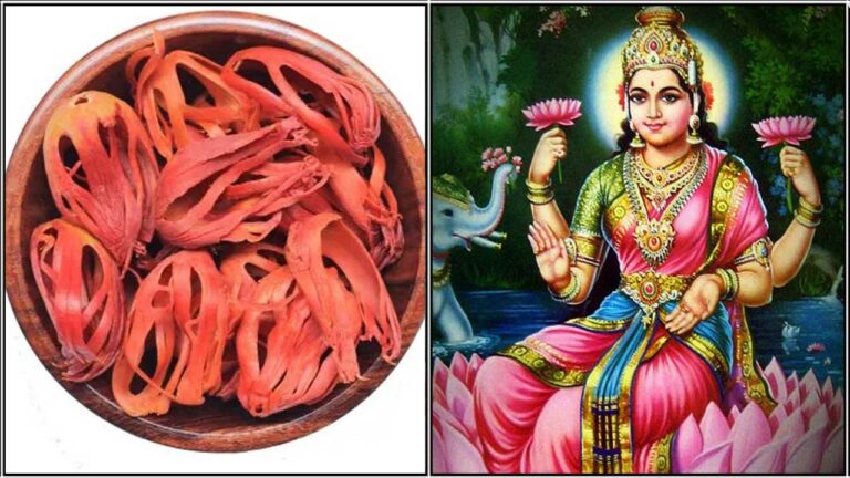 அட்சய திருதியை அன்று இந்த ஒரு பூ உங்கள் கையில் இருந்தால் போதும்..!! கோடீஸ்வர யோகம் உண்டாகும்..!!
