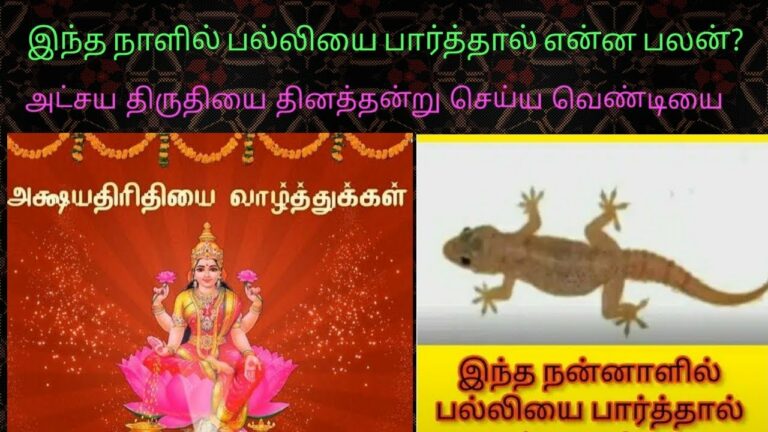 அட்சய திருதியை நாளான இன்று எப்பாடுபட்டாவது பல்லியை பார்த்து விடுங்கள்..!! பார்த்தால் என்ன நடக்கும் என்று தெரியுமா..??