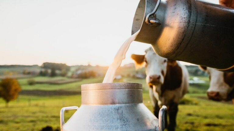 Milk prices gradually decreasing!! Public is happy!!