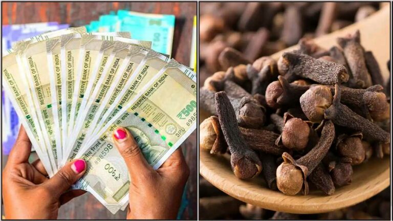 உங்கள் வீட்டில் இந்த மூன்று இடத்தில் மட்டும் கிராம்பை வைத்து பாருங்கள்..!! வாழ்க்கையே மாறும்..!!