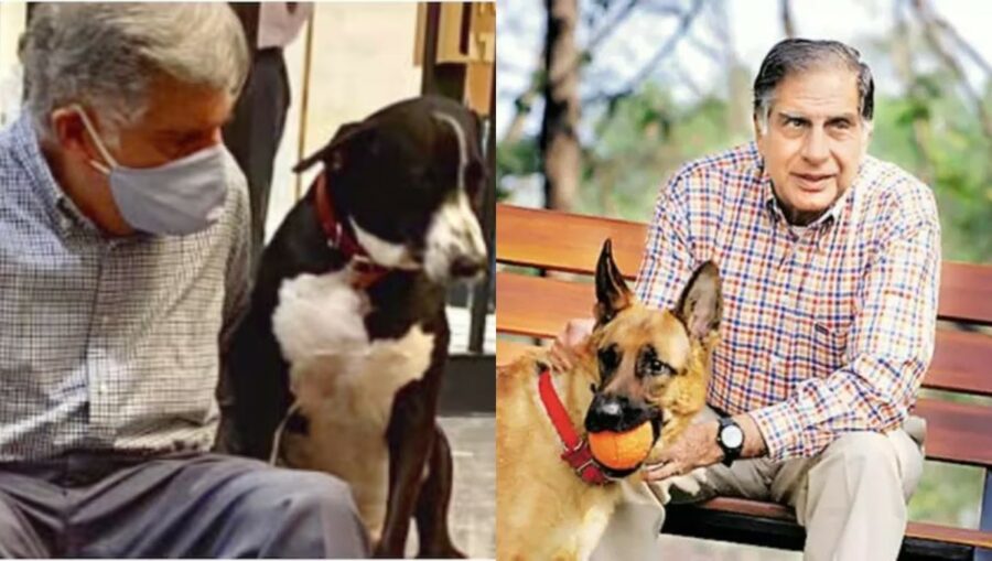 சமையல்காரருக்கு 1 கோடி!.. வளர்ப்பு நாய்க்கு 12 லட்சம்.. ரத்தன் டாடா எழுதிய உயில்…