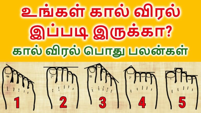 இது தெரியுமா? நம் எதிர்கால வாழ்க்கை எப்படி இருக்கும் என்று நம் கால் விரல்கள் சொல்லும்!!
