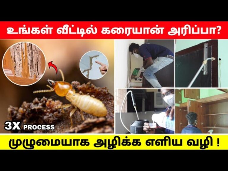 கரையான் தொல்லை தாங்கலையா? இதை ஒரேடியா ஒழித்துக் கட்ட இந்த டிப்ஸ் ட்ரை பண்ணுங்க!!