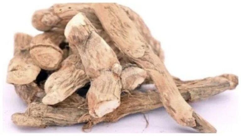 கெட்ட சக்தி அண்டாமல் இருக்க.. பண வரவு அதிகரிக்க வசம்பை இந்த இடத்தில் வையுங்கள்!!