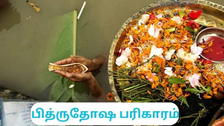 எப்பேர்ப்பட்ட பித்ரு தோஷமும் நீங்க சிவபெருமானுக்கு இதை நெய்வேத்தியம் செய்யுங்கள்!!