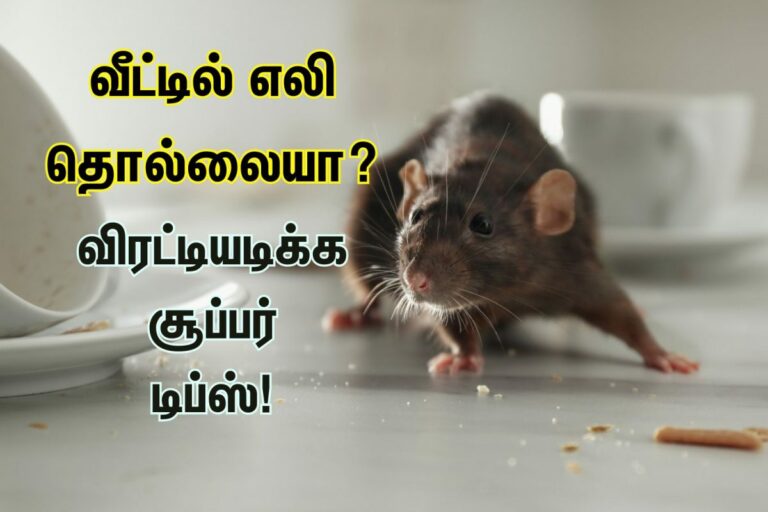இம்சை கொடுக்கும் எலிகளை ஓட விரட்ட.. வெங்காயத் தோலை இப்படி யூஸ் பண்ணுங்க!!