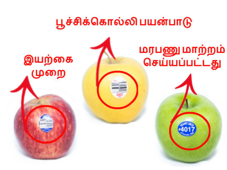 ஆப்பிளின் மீது ஒட்டப் பட்டிருக்கும் sticker-ல் இருந்து ஆப்பிளின் தரத்தை கண்டறியலாம்!!