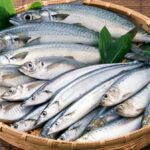 Eye and head are better than fish body!! Lifetime "Heart Attack" will not come!!