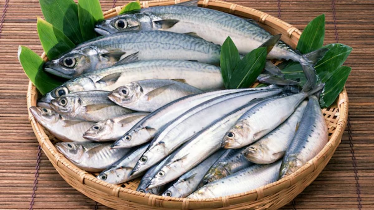 Eye and head are better than fish body!! Lifetime "Heart Attack" will not come!!