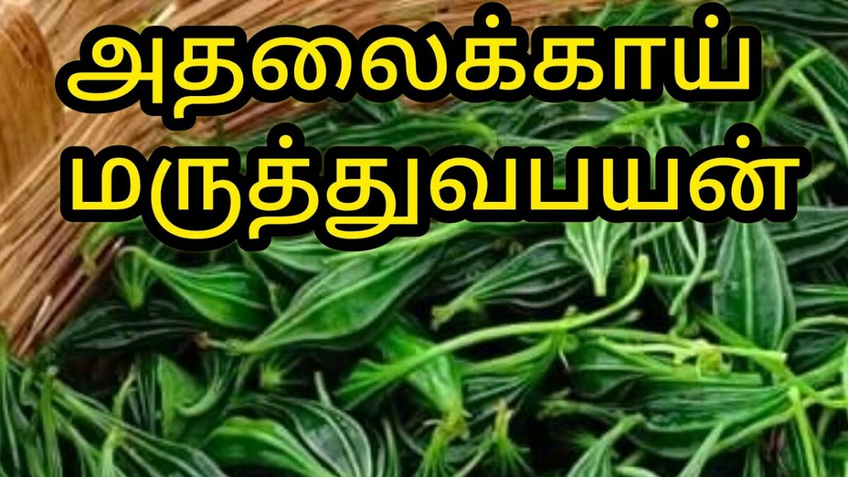 no-more-pills-from-sugar-to-jaundice-this-one-fruit-is-all-you-need