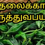 no-more-pills-from-sugar-to-jaundice-this-one-fruit-is-all-you-need