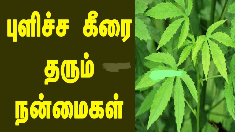 சீப்பா கிடைக்கும் இந்த 1 கீரை சாப்பிட்டால் டாப் 10 நோய்களையும் அசால்டாக சரி செய்யும்!!