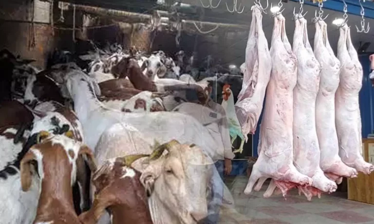 இனி தமிழ்நாடு முழுக்க ஆட்டு இறைச்சி ஒரே விலை தான்!! தமிழக அரசு திடீர் அறிவிப்பு!!