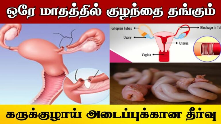 Are you suffering from uterine obstruction!! Eat moringa flower like this to get pregnant soon!!
