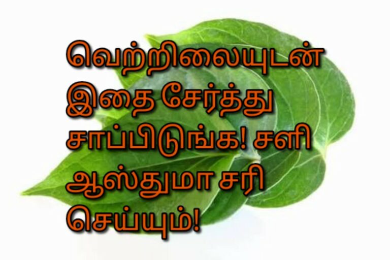 வெற்றிலையுடன் இதை சேர்த்து சாப்பிடுங்க! சளி ஆஸ்துமா சரி செய்யும்!